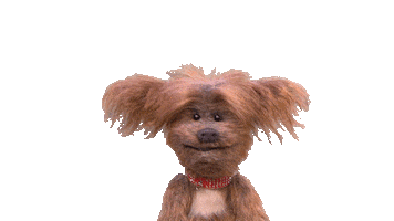 Bbc Dog Sticker by CBeebies HQ