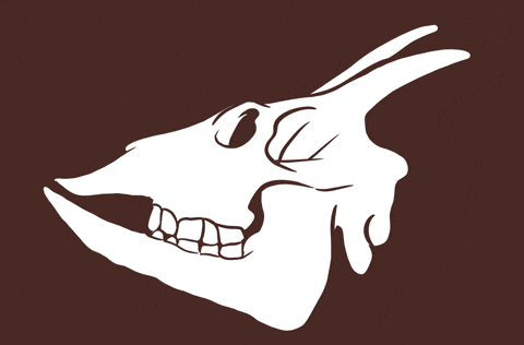 Mallorca Calavera GIF