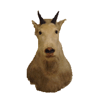 goat STICKER by imoji