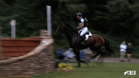Cross Country Jump GIF by FEI Global