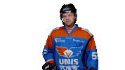 unisflyers goal mark eagles flyers Sticker
