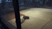 M Steel GIF