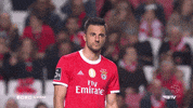 Think Sl Benfica GIF by Sport Lisboa e Benfica