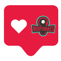 Whipsnakes Sticker by Premier Lacrosse League
