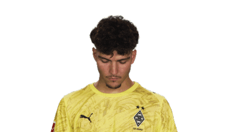 Look Up Borussia Moenchengladbach Sticker by Bundesliga