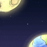 Pudgy GIF by Sappy Seals Community