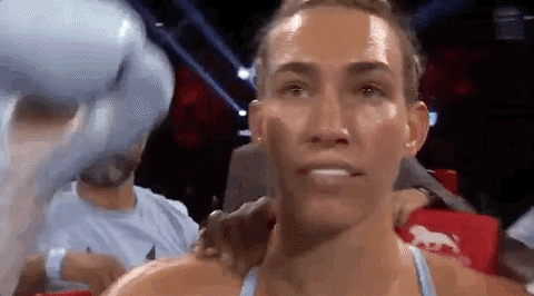 toprank giphyupload fight boxing fighting GIF