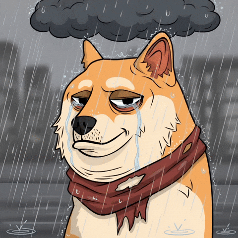 Sad Shiba Inu GIF by Doge Pound