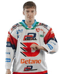 Hockey Czech Sticker by HC Dynamo Pardubice