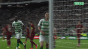 Celtic Fc Sport GIF by Celtic Football Club
