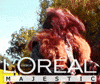 the hobbit thorin GIF