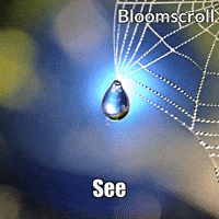 Wisdom Love GIF by Bloomscroll