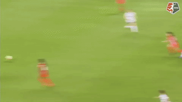 houston dash soccer GIF by Washington Spirit