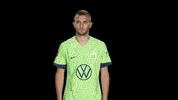 Happy Party GIF by VfL Wolfsburg