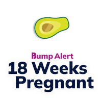 Sticker by The Bump