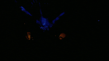 Sign Of The Times Prince GIF by Coolidge Corner Theatre