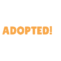 Dogrescue Adopt Sticker by South Florida Beagle Rescue