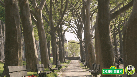 sesame street hello GIF by PBS KIDS