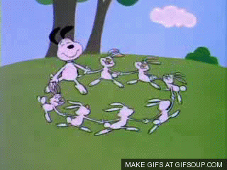 rabbits GIF