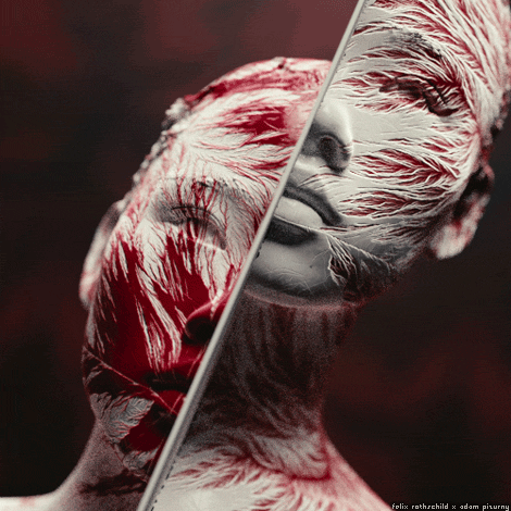 blender rothschild GIF by adampizurny