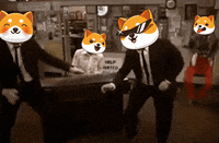 Fun Crypto GIF by Baby Doge Coin