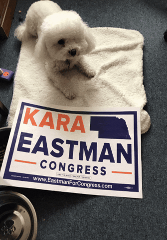 karaforcongress giphygifmaker giphygifmakermobile GIF