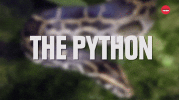 7 Weirdly Awesome Pets You Can Own