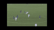 Barcelona Colorado GIF by Sport Club Internacional
