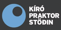 Kiropraktorstodin kiro GIF