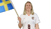 Soccer Flag Sticker by Carson-Newman Athletics