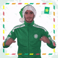 Celtic Fc Christmas GIF by Celtic Football Club