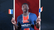 France Dancing GIF by Paris Saint-Germain Handball
