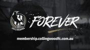 fan afl GIF by CollingwoodFC