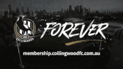 victoria park afl GIF by CollingwoodFC
