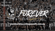 grand final banner GIF by CollingwoodFC