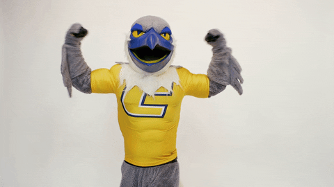 Gomocs Utc GIF by The University of Tennessee at Chattanooga