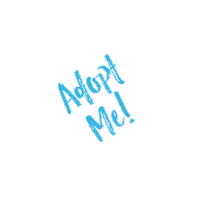 Animal Shelter Adopt Sticker by LifeLine Animal Project