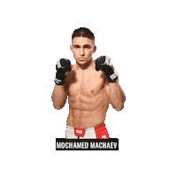 Mixed Martial Arts Mma Sticker by BRAVE Combat Federation