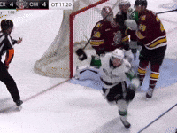 Texas Stars Heart GIF