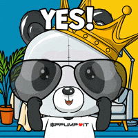 Happy Gm GIF by PandaPals