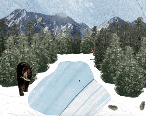 NobleEducator giphyupload GIF