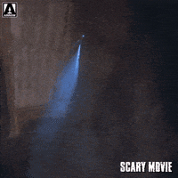 Scared Scary Movie GIF by Arrow Video