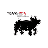 Stock Show Sticker by Trans Ova Genetics