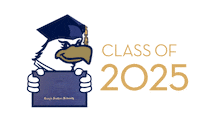 Gold Eagles Sticker by Georgia Southern University