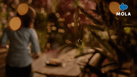 Fun Love GIF by MolaTV
