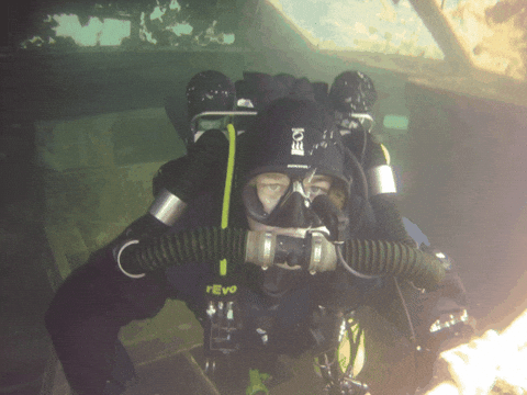 kylevandermolen giphygifmaker giphyattribution kyle vandermolen GIF