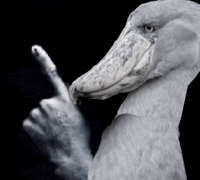 Shhh GIF
