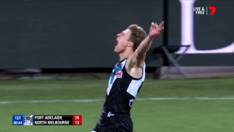 port adelaide football GIF by AFL