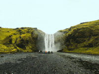 Video-Foto-Elektronik 15000-20000-Eur GIF by FranchiseONE.de