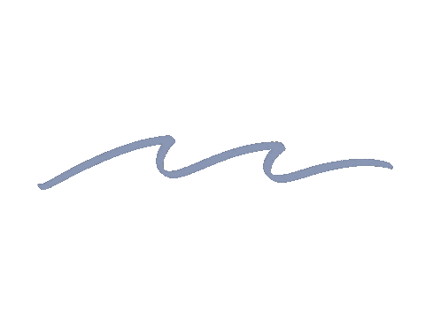shoresociety giphyupload water beach wave Sticker